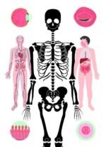 3730057888_kniga-telo-cheloveka