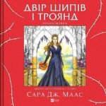 6922653333_kniga-dvor-shipov