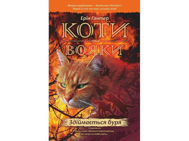 1449117585_mirovoj-bestseller-kniga