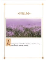 6993020512_kniga-veresova-mil