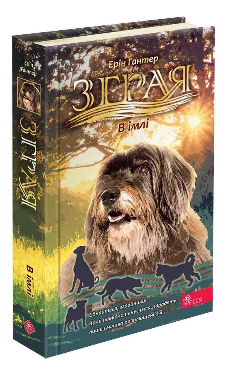 7066816861_kniga-seriya-staya